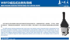 WBFD减压式比例先导阀