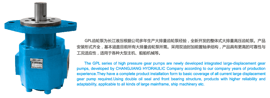 GPL系列高压齿轮泵