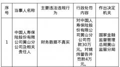 中国人寿黄山分公司被罚30万，涉财政数据不真实