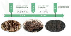 落叶归根 科技助力——泰达绿化“原位生物共同消纳技能”让落叶变“春泥” ...