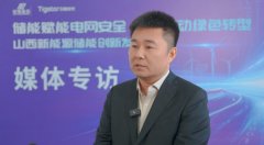 2026年建成12座！中电金谷鲁格非揭秘储能全国化部署宏图 护航电网保险平安 ...