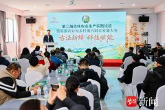 第二届自续农业生产实践论坛在徐州举行