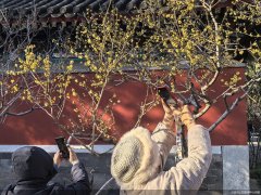 元旦假日次日北京市属花园共迎来游客44.1万人次