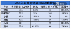 造车新势力的2025：谁卡住身位，谁厚积薄发？