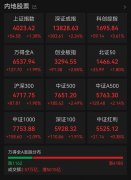 沪指12连阳