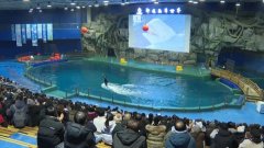 范围近600人！环翠迎来本年首个韩国庞大观光团