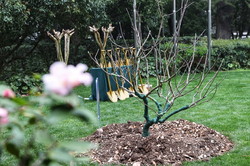 英国首相今起拜访上海：外滩钟声准时鸣响，期待下其中英黄金时代 ...