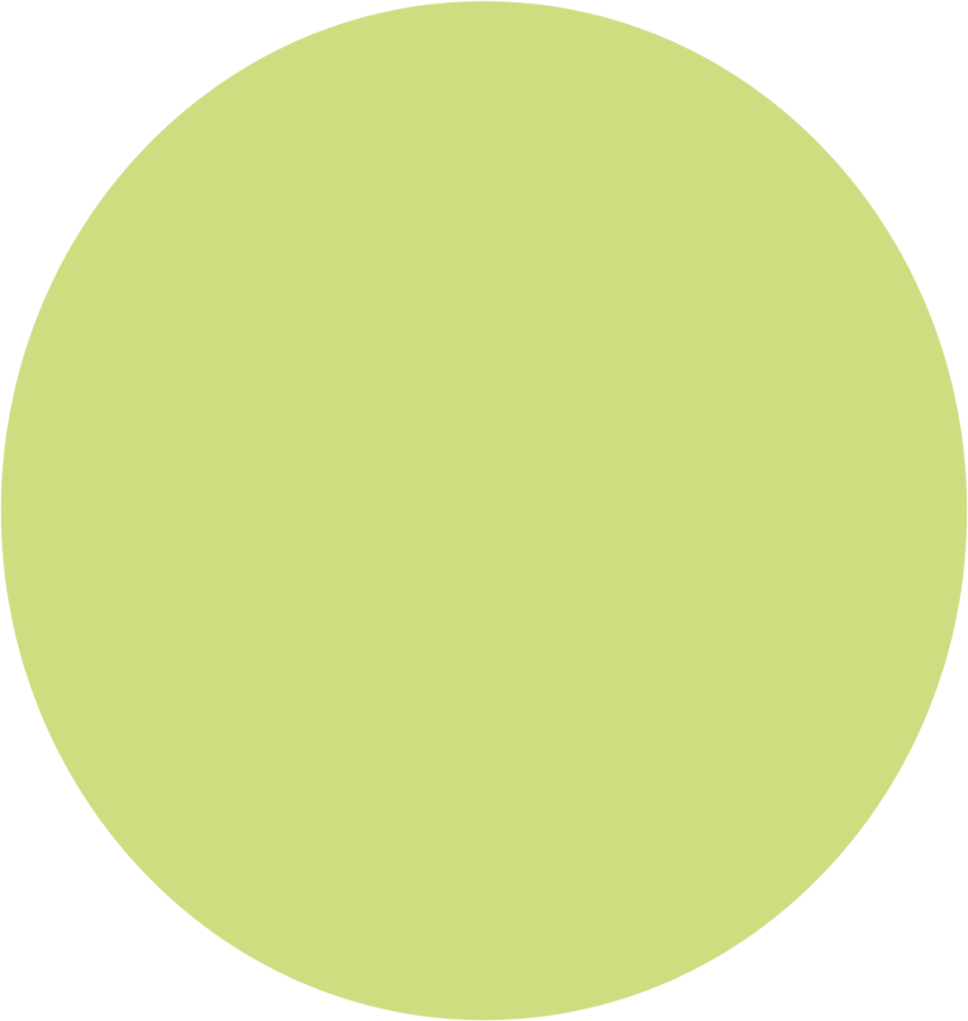 【茶叶老板必选爆款茶叶】龙生2026春茶全面上市！假意携手经销商抢占春茶市场 ...