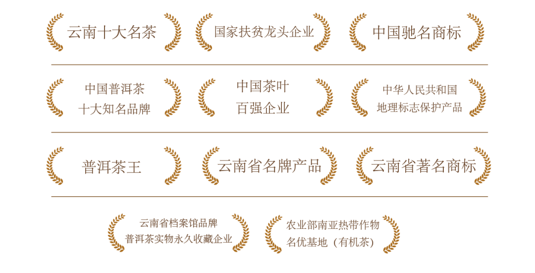 【茶叶老板必选爆款茶叶】龙生2026春茶全面上市！假意携手经销商抢占春茶市场 ...