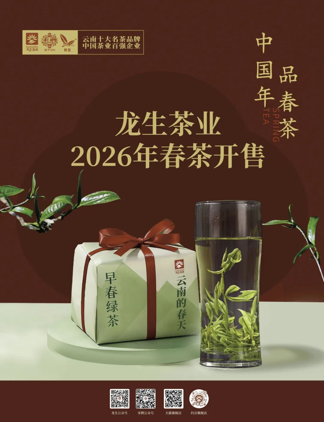 【茶叶老板必选爆款茶叶】龙生2026春茶全面上市！假意携手经销商抢占春茶市场 ...