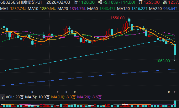 一篇“小作文”带崩“寒王”！江西首富掌舵的公司市值一度蒸发超700亿元！国产AI芯片 ...