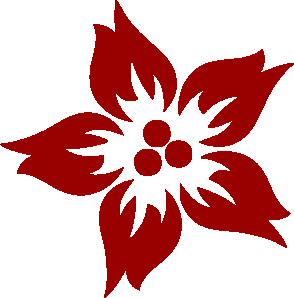 四川省情况爱护财产协会丙午马年新春贺词