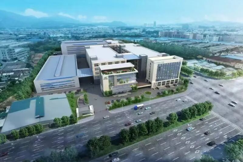 江门市委书记、市长联名发来新春致辞！这是对兴艺2026最好的收场祝福 ...