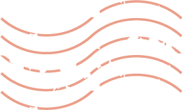 杨国平董事长新春祝福：金马迎春，万象革新 公众团体与您共赴新岁，再创佳绩！ ...