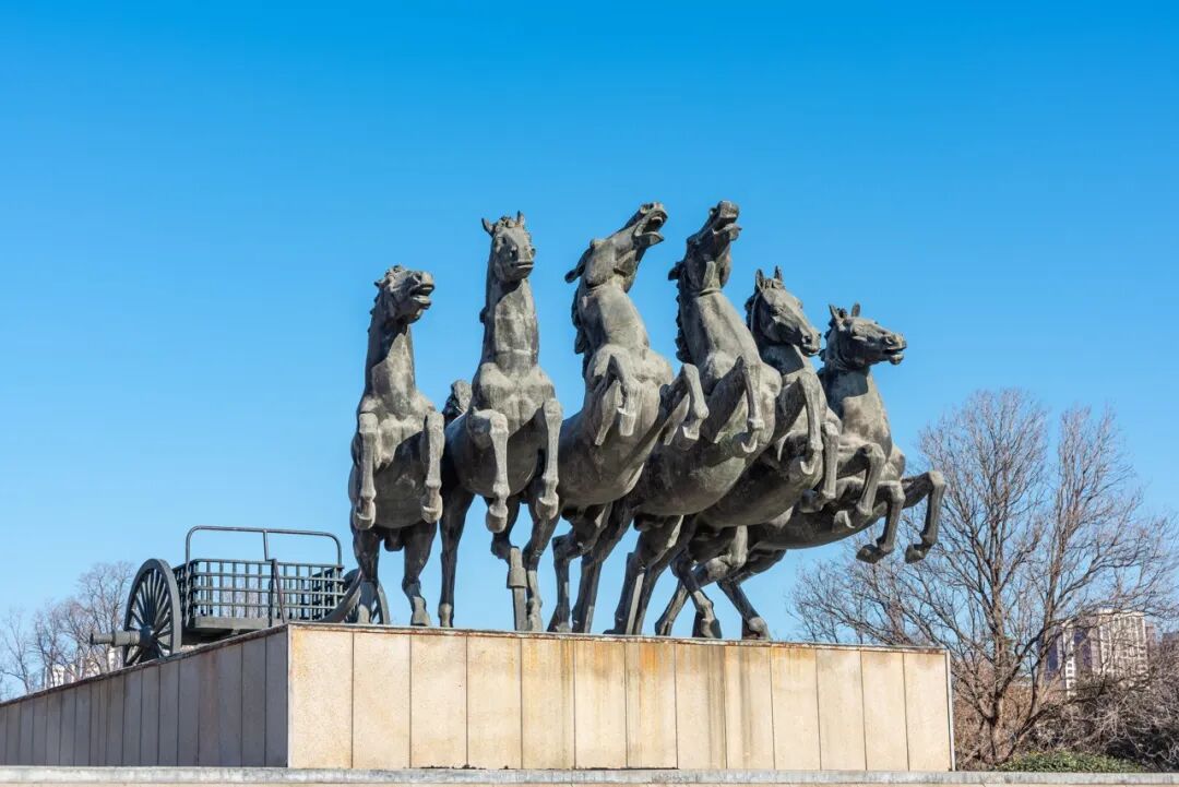 苏琦：每一个人都认为自己顺应了汗青局势