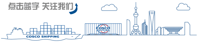 中远海运国内新加坡公布2025年度业绩陈述