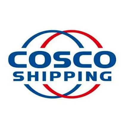 中远海运国内新加坡公布2025年度业绩陈述