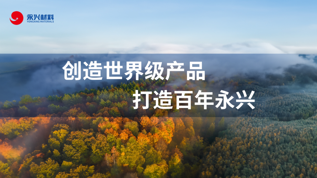 市政府党组成员，南太湖新区党工委书记、管委会主任饶如锋调研走访永兴质料 ...