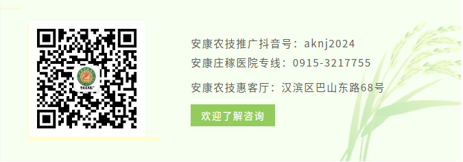【存眷】秦巴沃野育精兵 农机赋能促振兴——健康市扎实推进农机手训练筑牢现代农业根 ..
