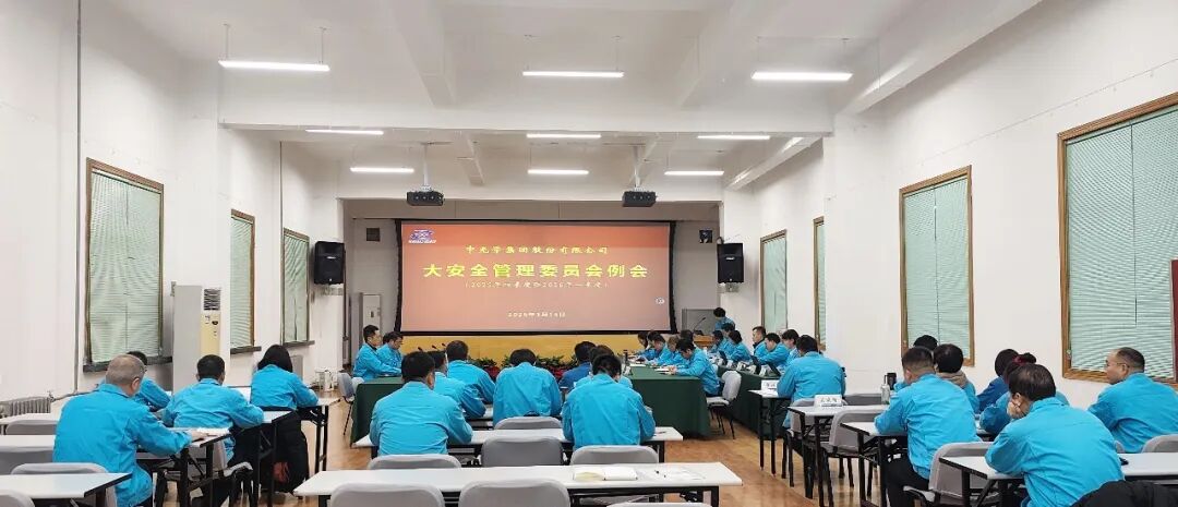 信息动静】公司召开2025年四季度大保险平安治理委员会例会