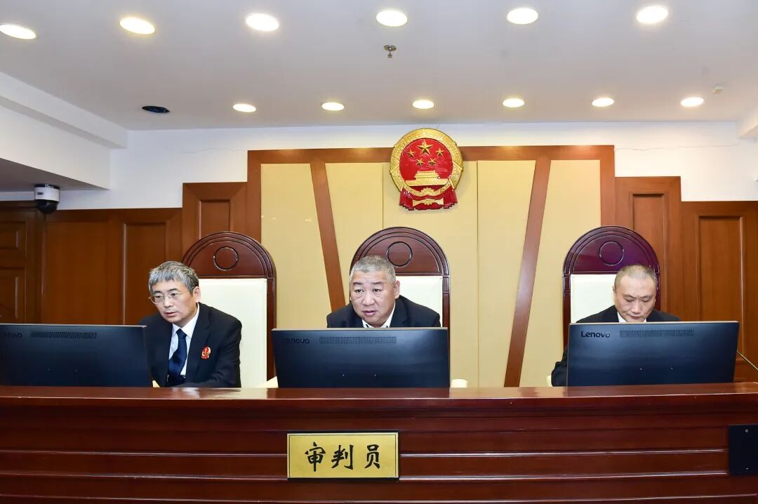 多次违规飞出国？宝贵赛鸽直播卖？黄浦法院分散执行直击违反限高令现场！ ...