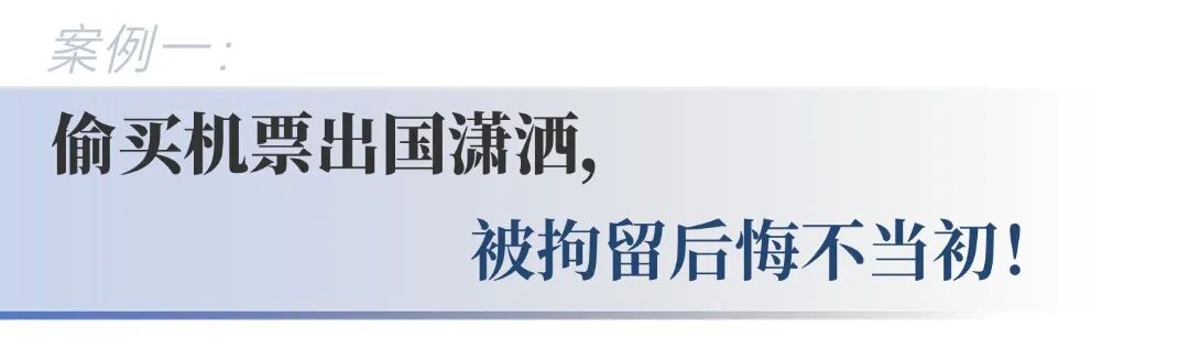 多次违规飞出国？宝贵赛鸽直播卖？黄浦法院分散执行直击违反限高令现场！ ...
