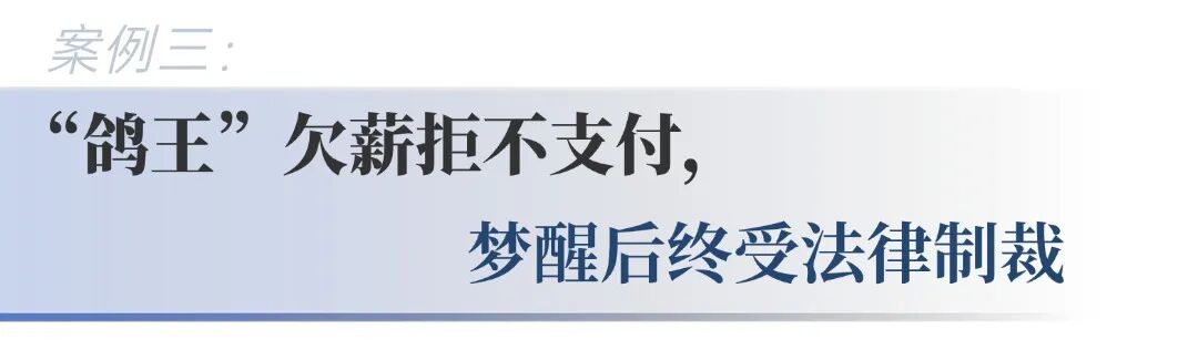 多次违规飞出国？宝贵赛鸽直播卖？黄浦法院分散执行直击违反限高令现场！ ...